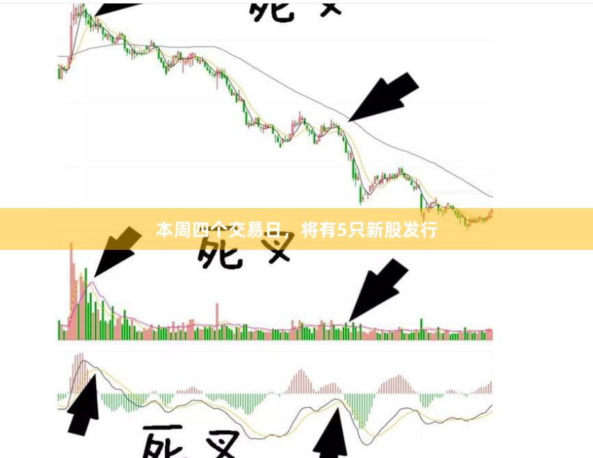 本周四个交易日，将有5只新股发行