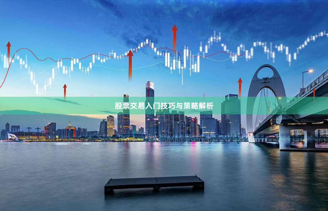 股票交易入门技巧与策略解析