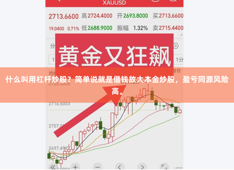 什么叫用杠杆炒股？简单说就是借钱放大本金炒股，盈亏同源风险高。
