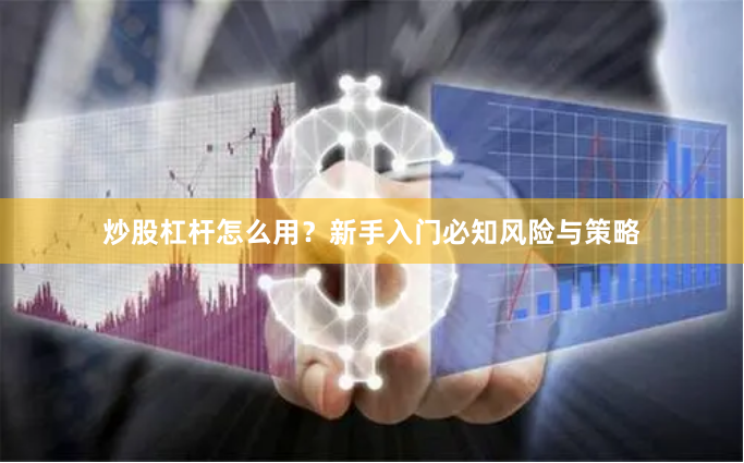 炒股杠杆怎么用？新手入门必知风险与策略